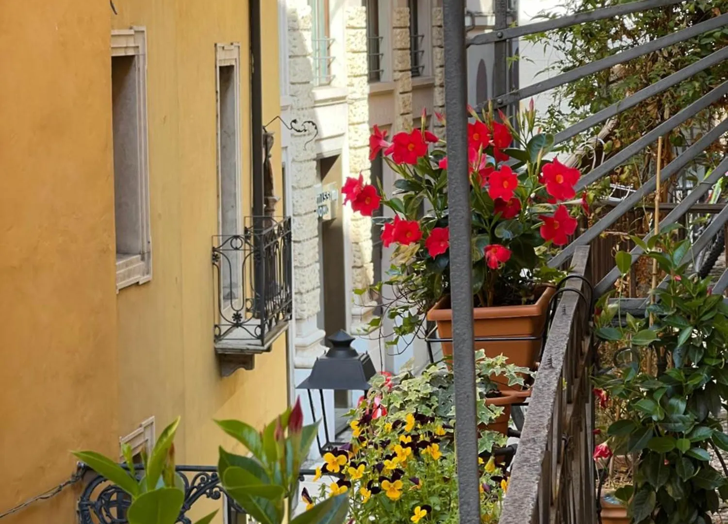 Apartment Flores Home Verona
